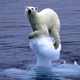 Image for article titled I'm Definitely Opposed to Global Warming